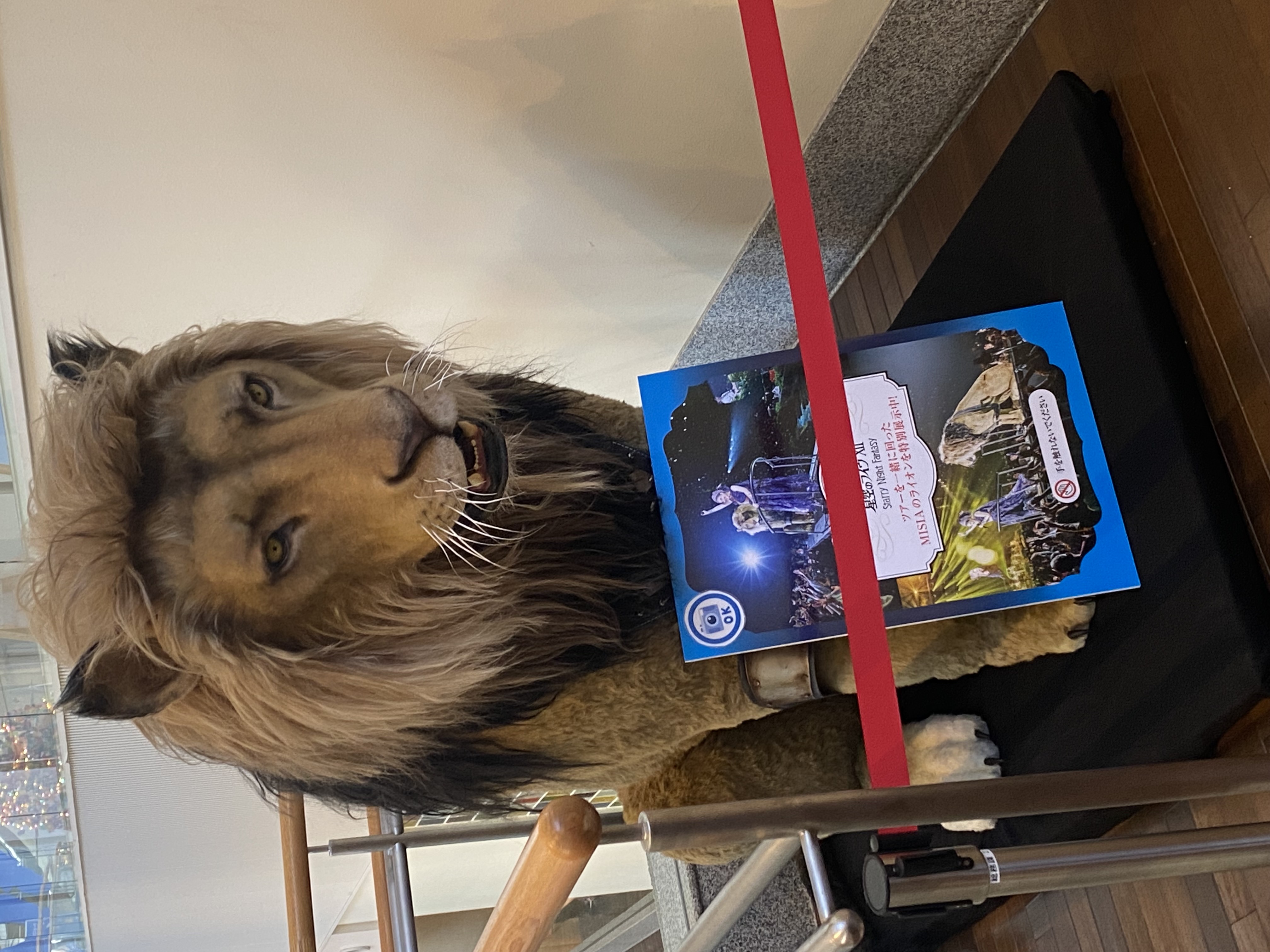 MISIAから「MISIA 星空のライヴXII」のライオンを国立成育医療研究